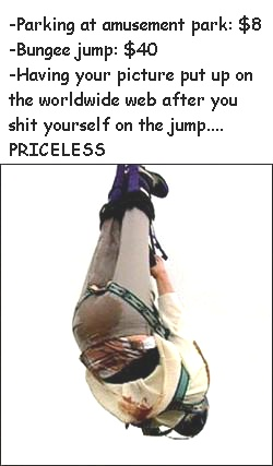 bungee.jpg